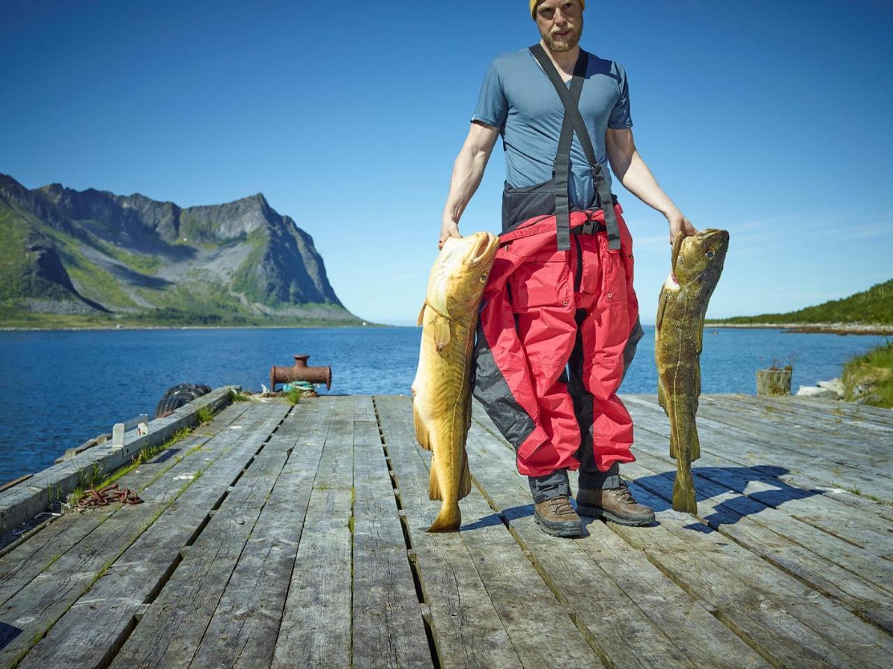 Northern Light Hotell/Camp Steinfjord Berg  Екстериор снимка