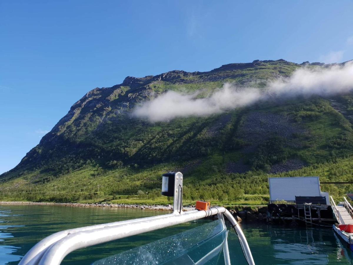 Northern Light Hotell/Camp Steinfjord Berg  Екстериор снимка