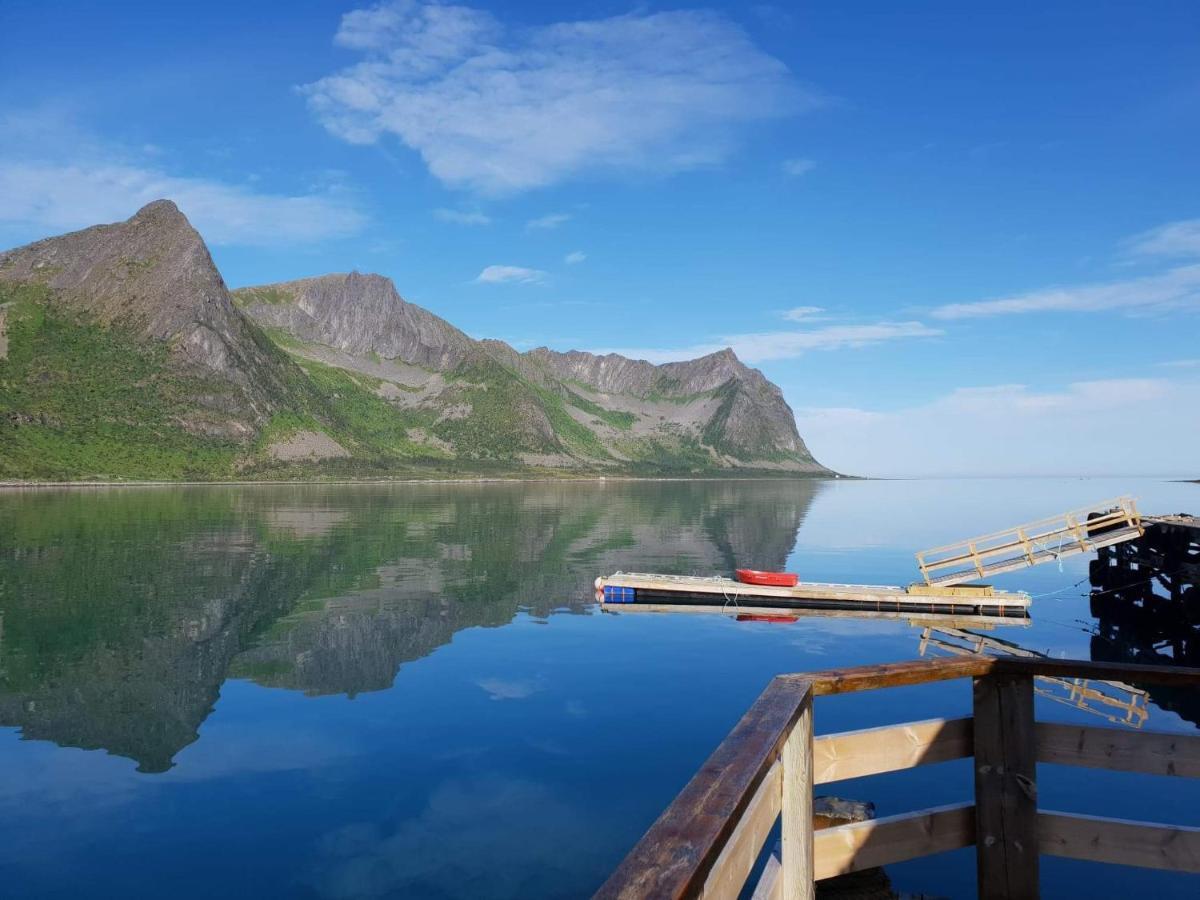 Northern Light Hotell/Camp Steinfjord Berg  Екстериор снимка